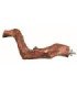 Percha natural para aves, duradera y segura