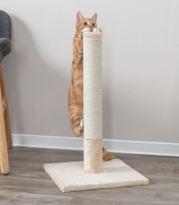 Rascador para gatos elaborado con material duradero
