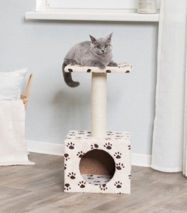 Junior Poste Rascador Zamora