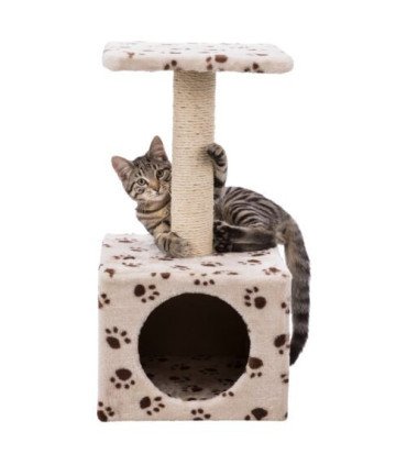 Junior Poste Rascador Zamora