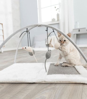 Junior Alfombrilla Rascadora