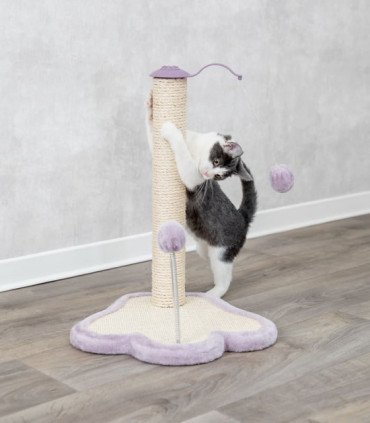 Junior Tabla Rascadora Huella