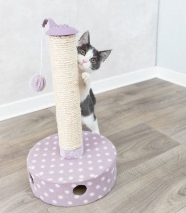 Junior Poste Rascador