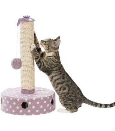 Junior Poste Rascador