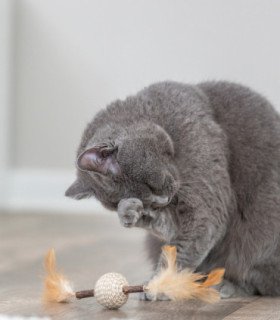 Juguete Matatabi con Plumas