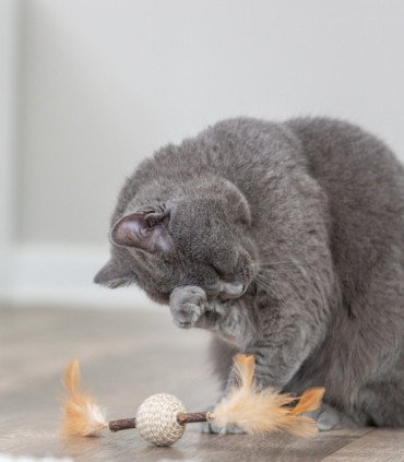 Juguete Matatabi con Plumas