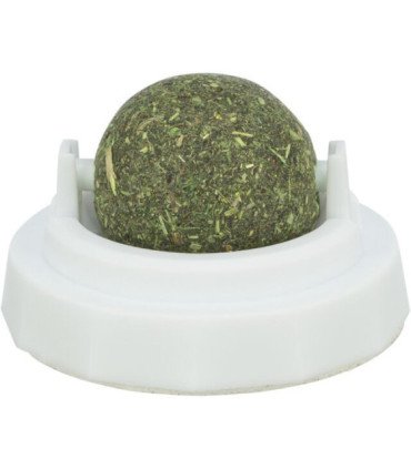 Pelota de hierba gatera con soporte de plástico