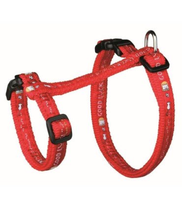 Arnés XL con Correa