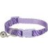 Collar para gatos