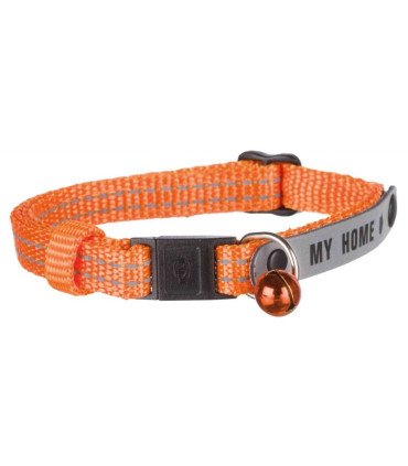 Collar con placa y cascabel ajustable
