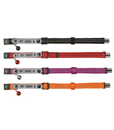 Collar con Placa identificativa