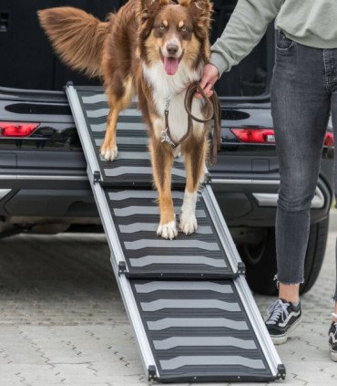 Rampa Telescópica 3 Pasos