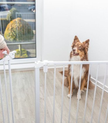 Barrera para Perros con Puerta