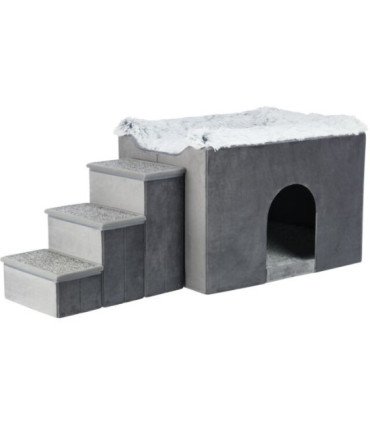 Cueva Harvey con escaleras