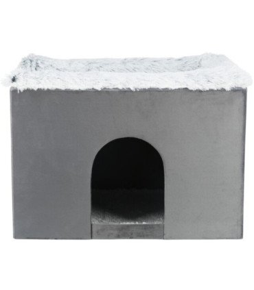 Cueva Harvey con escaleras