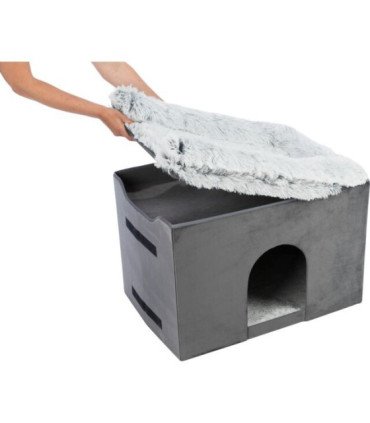 Cueva Harvey con escaleras