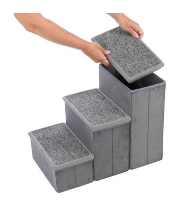 Cueva Harvey con escaleras