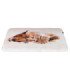 Colchoneta Tilly para gatos, funda felpa y base antideslizante