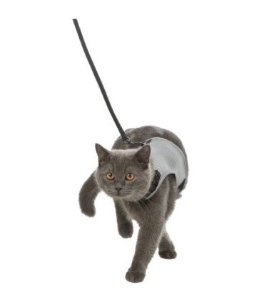 Arnés Suave con Correa