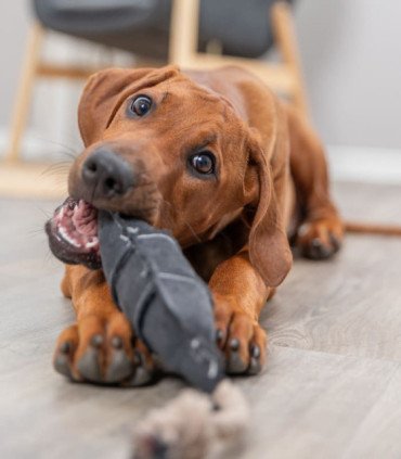 BE NORDIC Botella en Cuerda