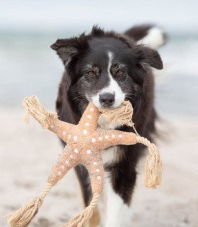 BE NORDIC Estrella de Mar Jane