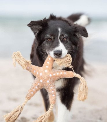 BE NORDIC Estrella de Mar Jane