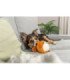 Juguete para perros Ardilla de felpa suave de 13cm