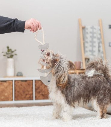 Espina de pescado con cuerda