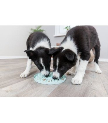 Junior Bandeja para Lamer