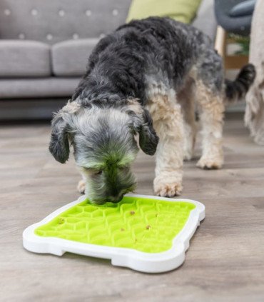 Bandeja Snacks para mascotas, diversión y relax