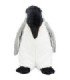 Be Eco Pingüino Erin