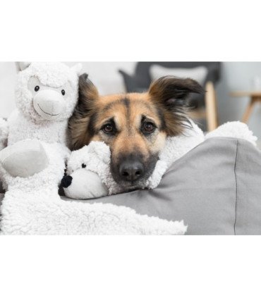 Be Eco Burrito Elenor