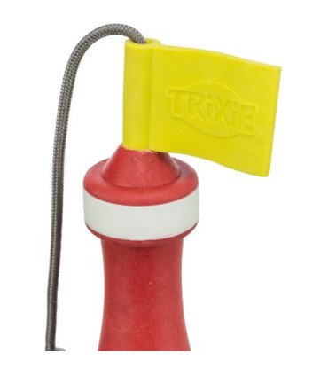 Juguete Acuático Boya