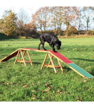 Pasarela para Agility