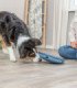 Juguete interactivo para perros con revestimiento antideslizante