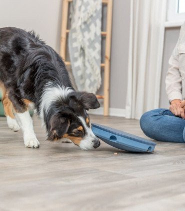Juguete interactivo para perros con revestimiento antideslizante