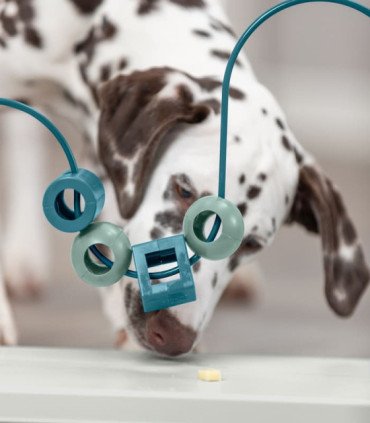 Juego de motricidad para perros con 4 elementos deslizantes