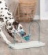 Juego de motricidad para perros con 4 elementos deslizantes