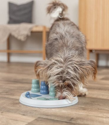 Juego Interactivo Flip Board XXL