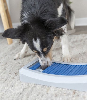 Juego Interactivo Rod Board