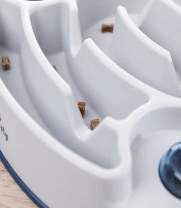 Activity Slide & Feed