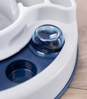 Activity Slide & Feed