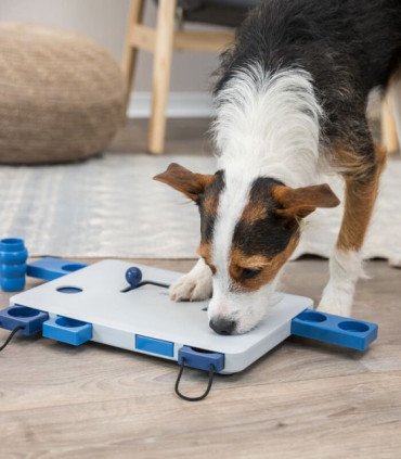 Juego de perros Move2Win Nivel 3