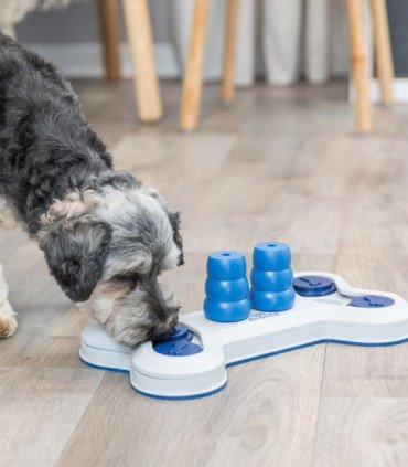 Juego interactivo para mascotas con conos y tapas