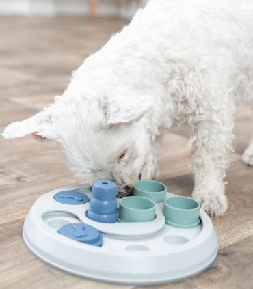 Juego interactivo para perros con obstáculos