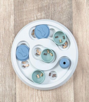 Juego interactivo para perros con obstáculos