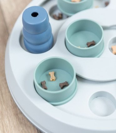 Juego interactivo para perros con obstáculos