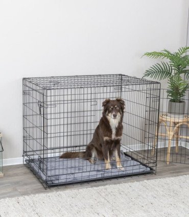 Caseta doméstica cómoda y segura para mascotas
