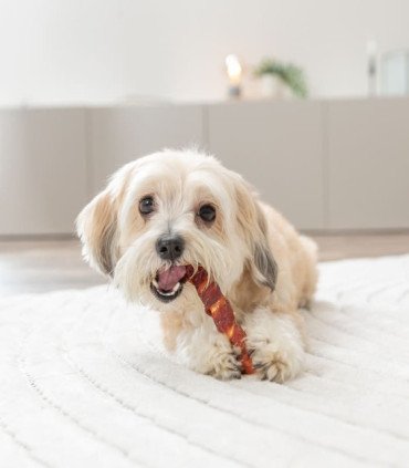 Rollitos de piel cubiertos de pollo