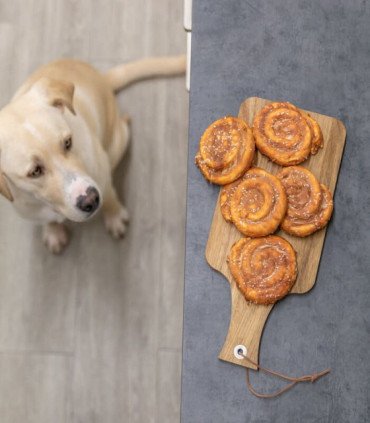 Denta Fun Bollo Masticable